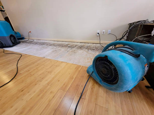 Professional Water Removal technician working in Church Hill, TN